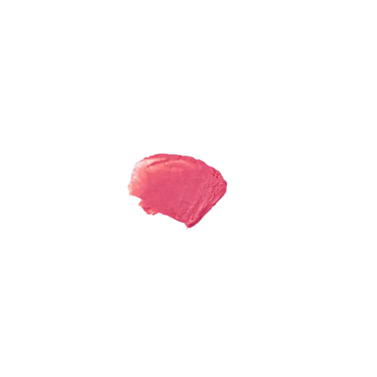 Le Lip Tint Bien Fait