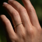 Banyan Thin Band