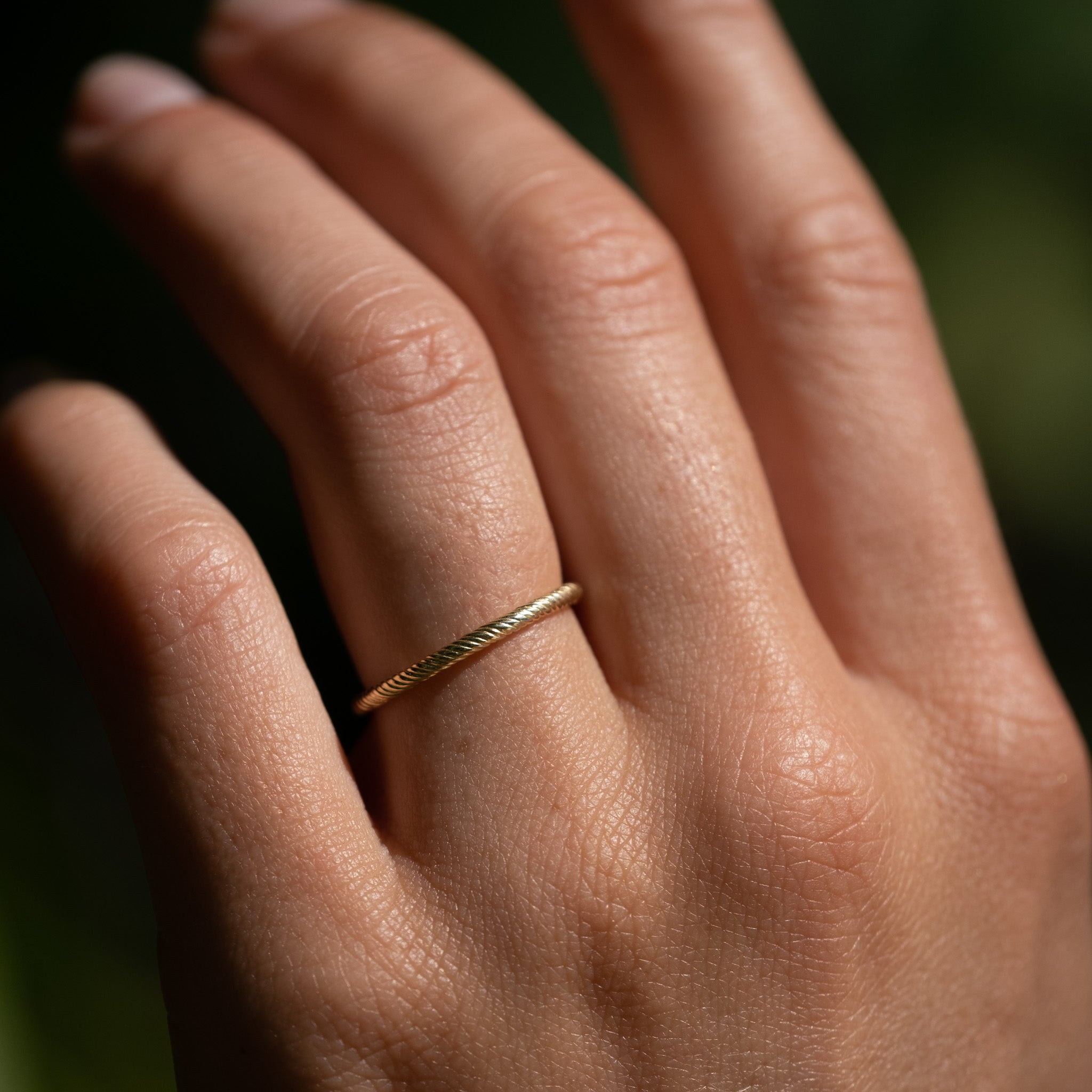 Banyan Thin Band
